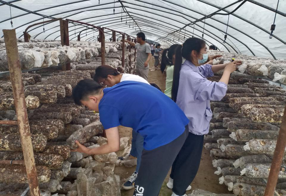 beat365中国官方网站