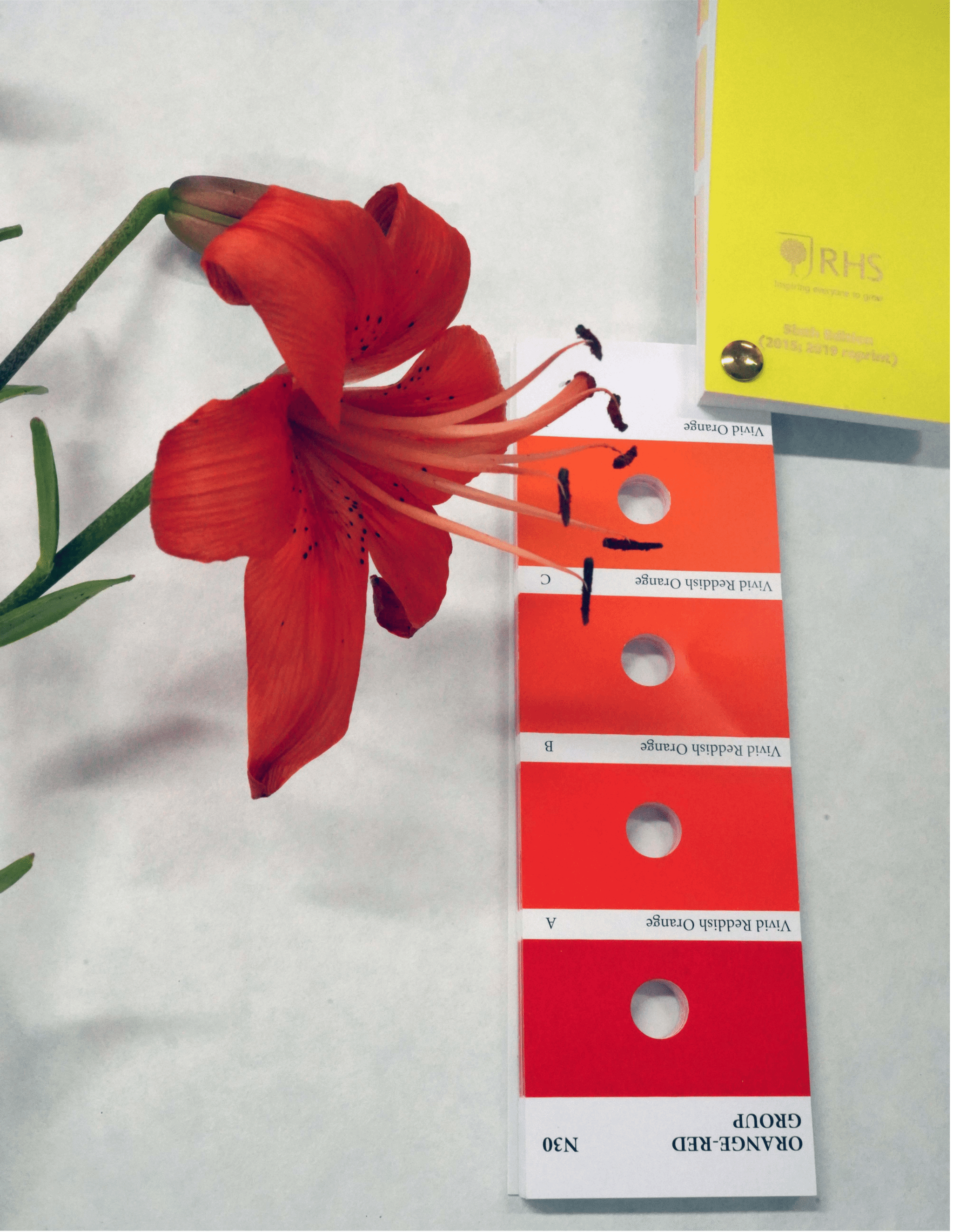 beat365中国官方网站