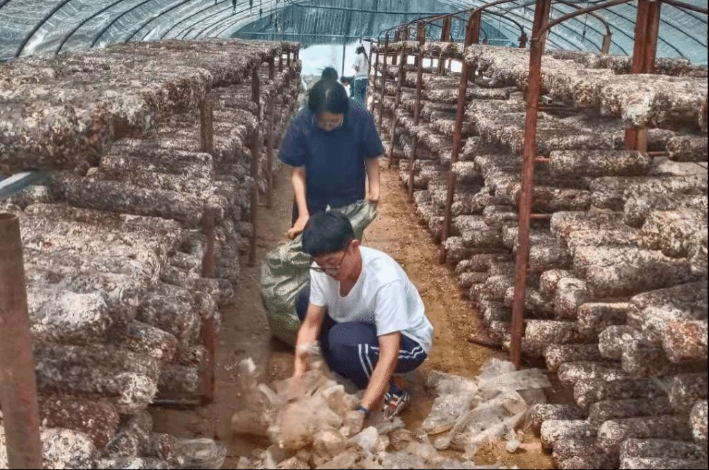 beat365中国官方网站