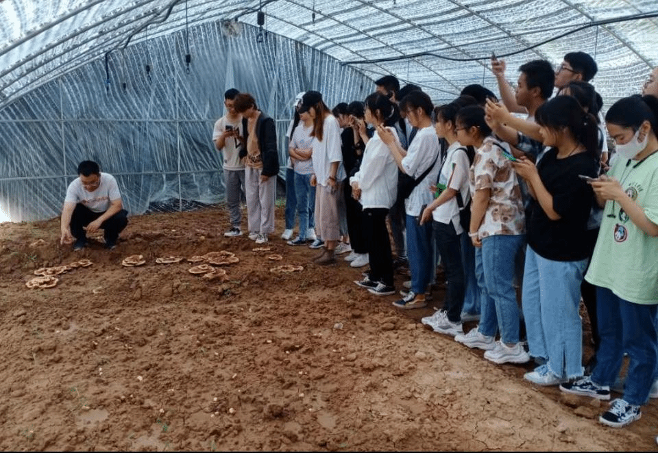 beat365中国官方网站