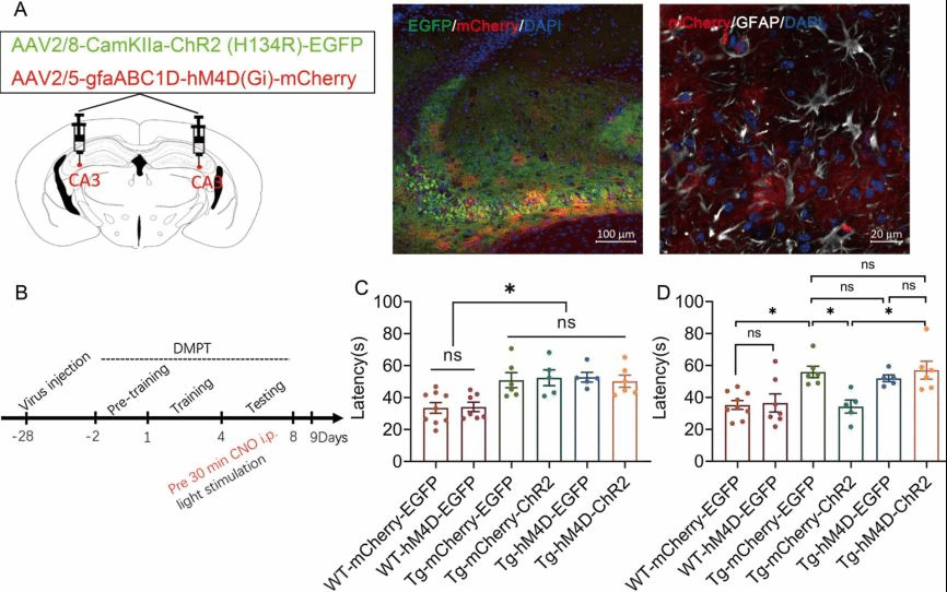 beat365中国官方网站